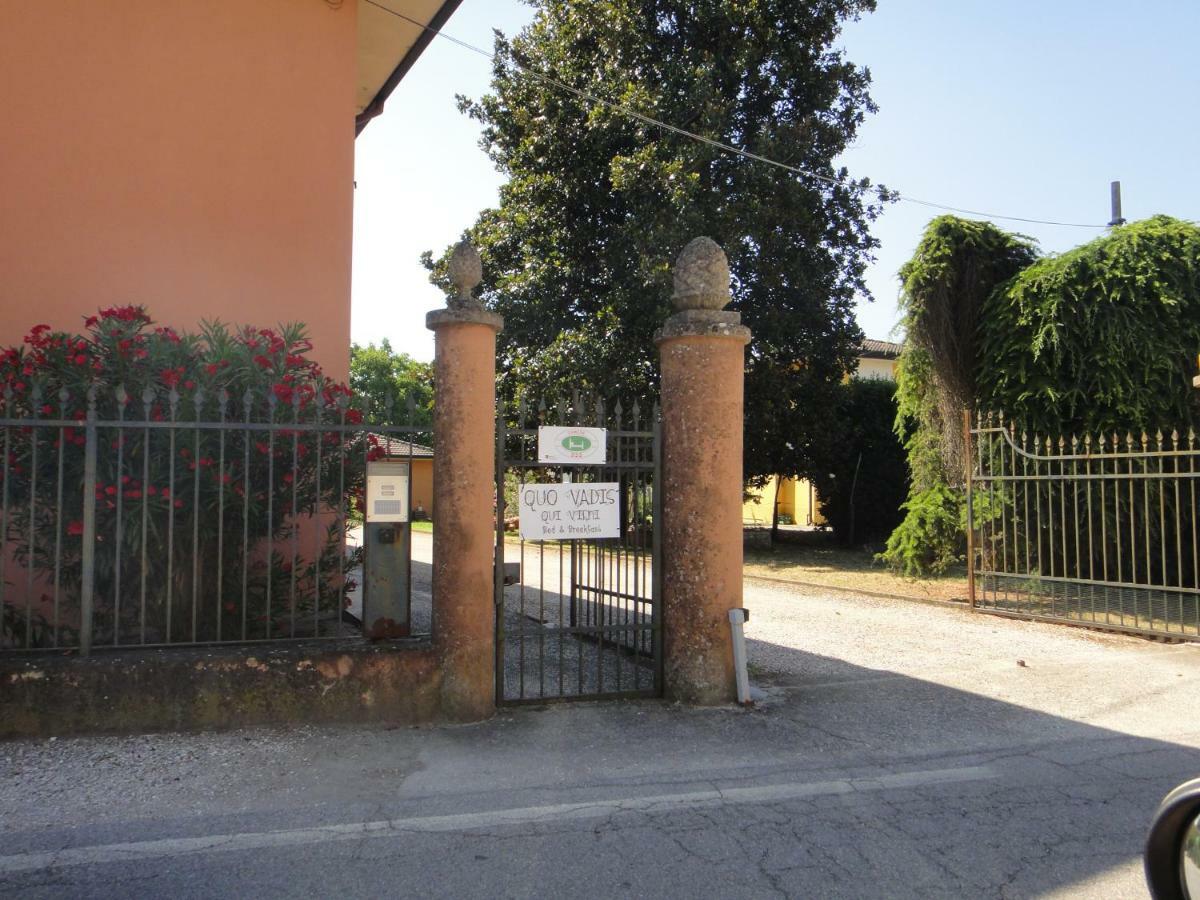 Quo Vadis Qui Vieni Rovigo