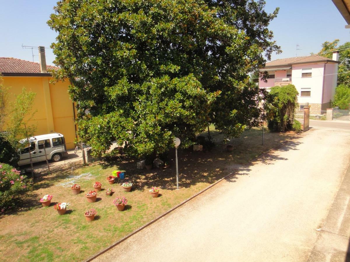 Quo Vadis Qui Vieni Rovigo